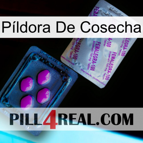 Píldora De Cosecha 37.jpg